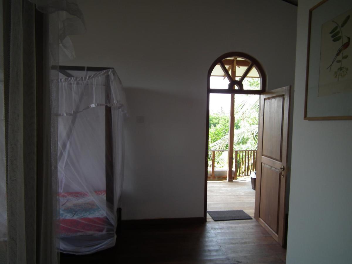 Vila Coconut Island Tangalle Exteriér fotografie