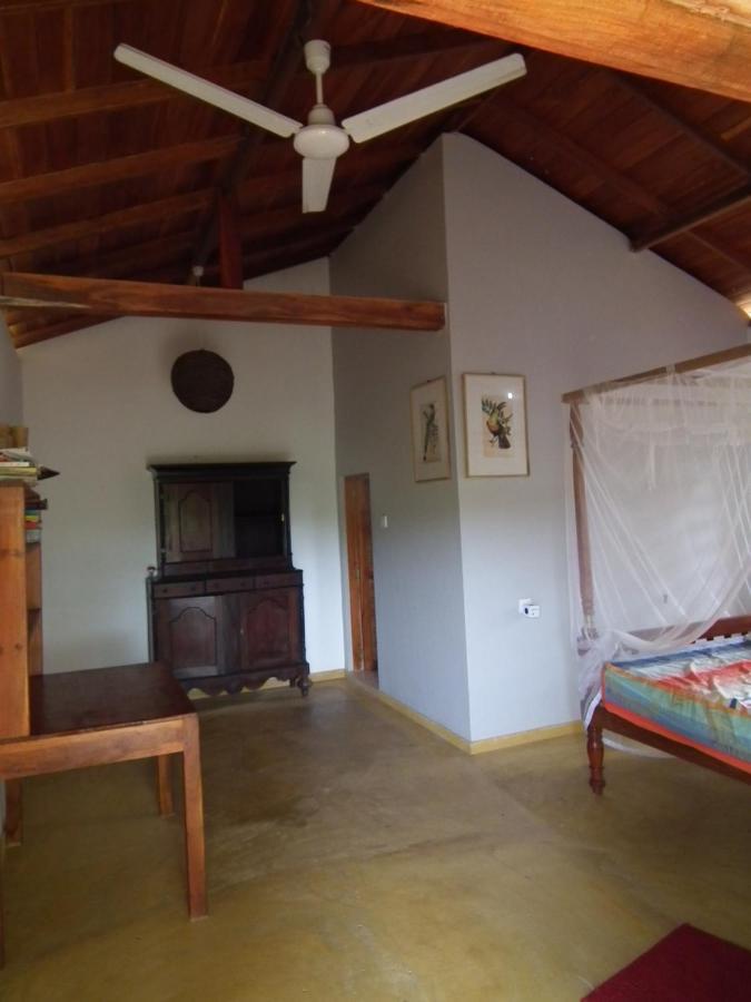 Vila Coconut Island Tangalle Exteriér fotografie