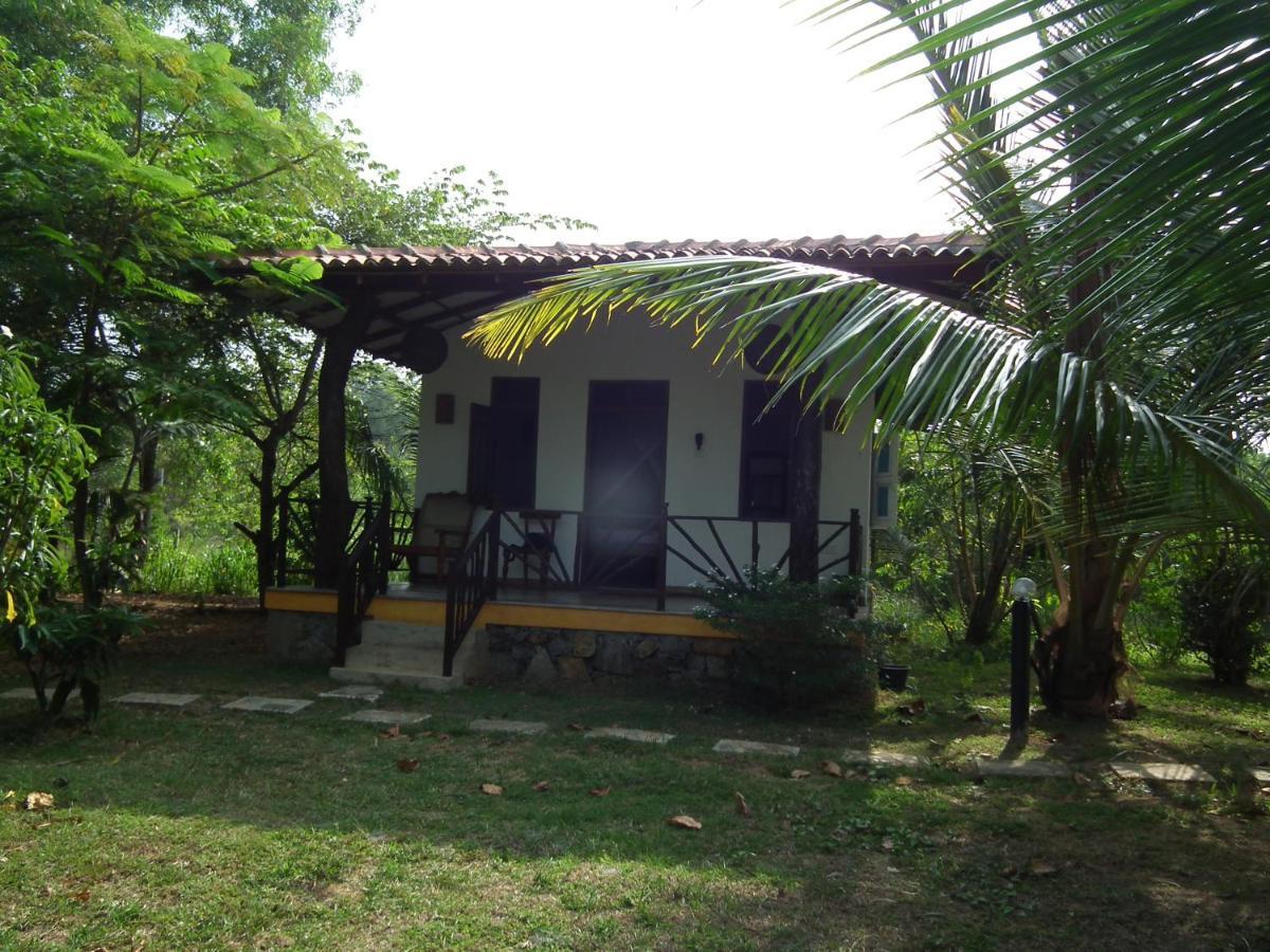 Vila Coconut Island Tangalle Exteriér fotografie