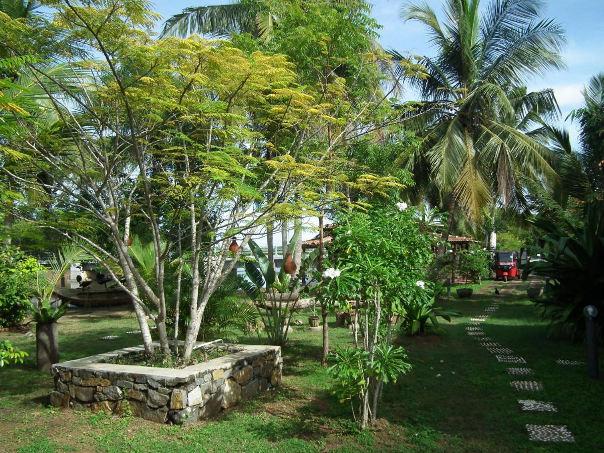 Vila Coconut Island Tangalle Exteriér fotografie