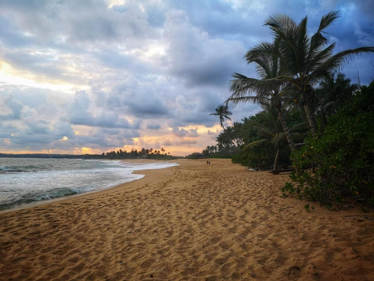 Vila Coconut Island Tangalle Exteriér fotografie