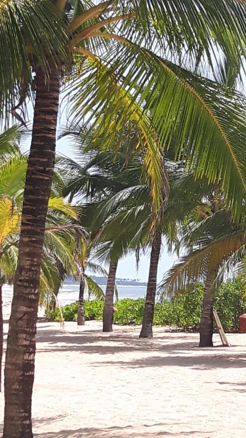 Vila Coconut Island Tangalle Exteriér fotografie