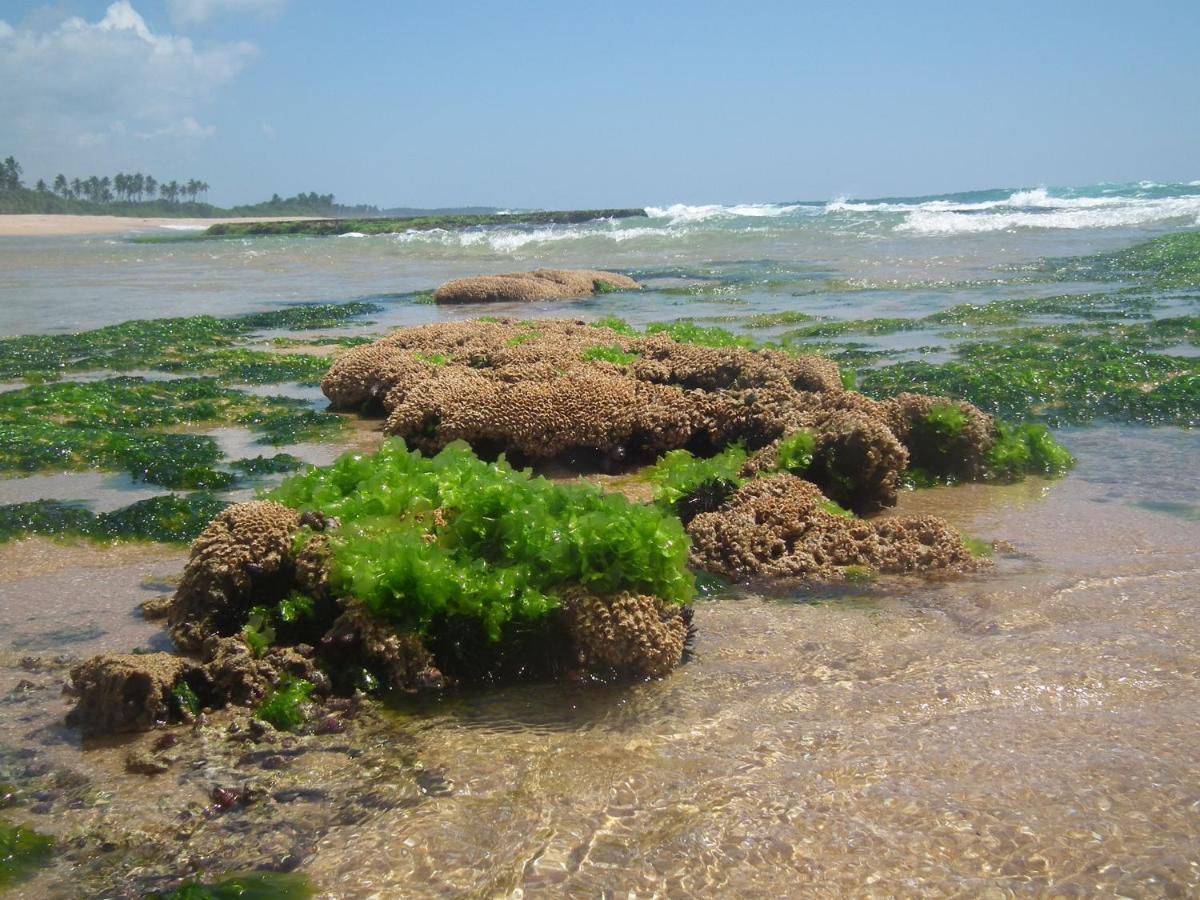 Vila Coconut Island Tangalle Exteriér fotografie